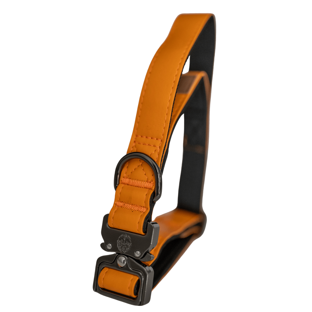 KK9 Tactical Collar (1") - Kaizen K9