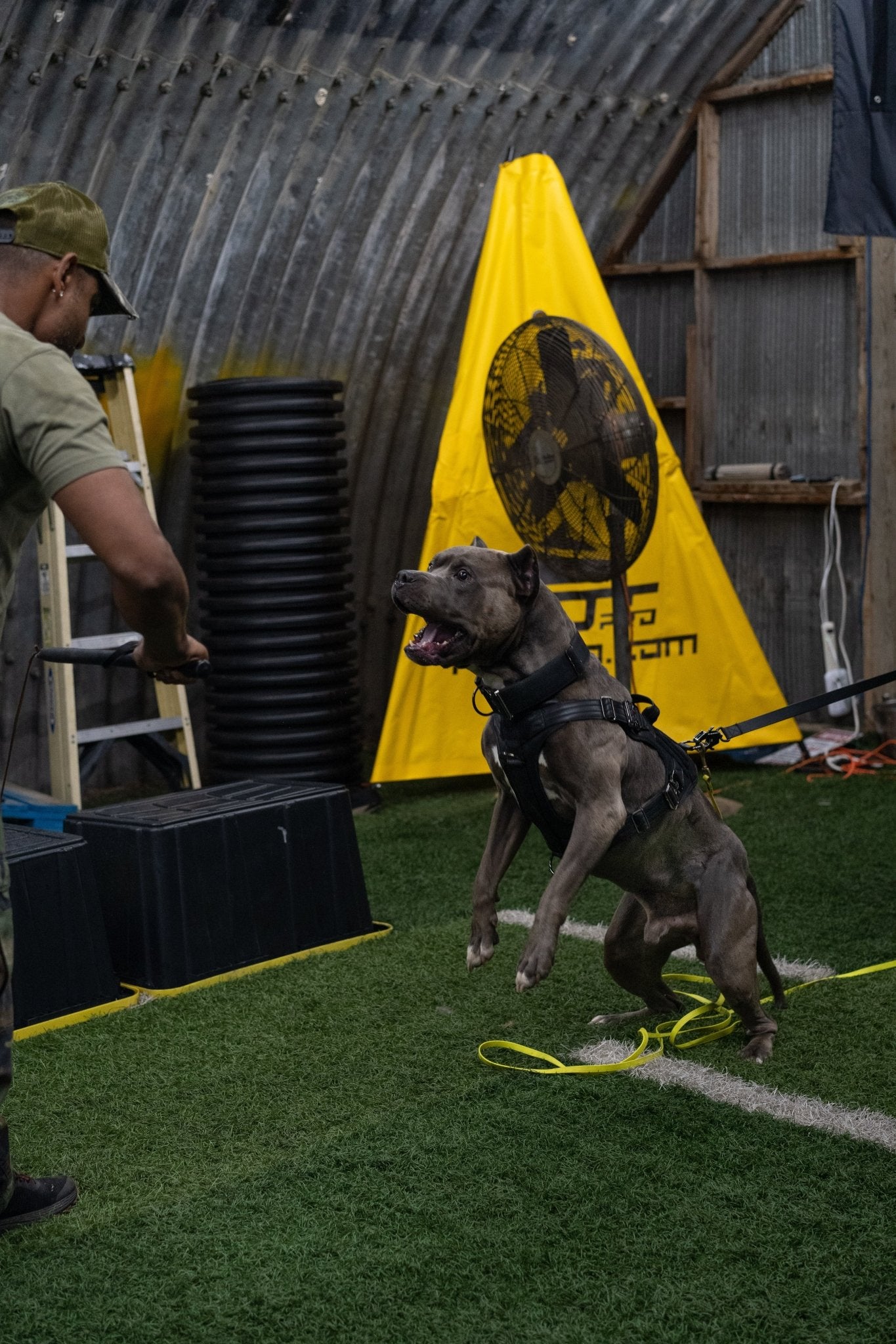 KK9 Tactical Harness - Kaizen K9