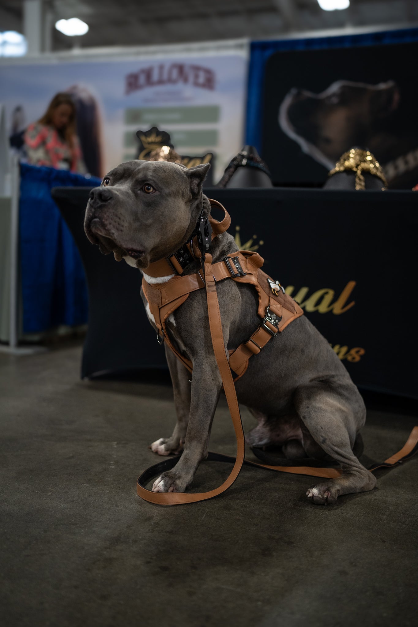 KK9 Tactical Harness - Kaizen K9