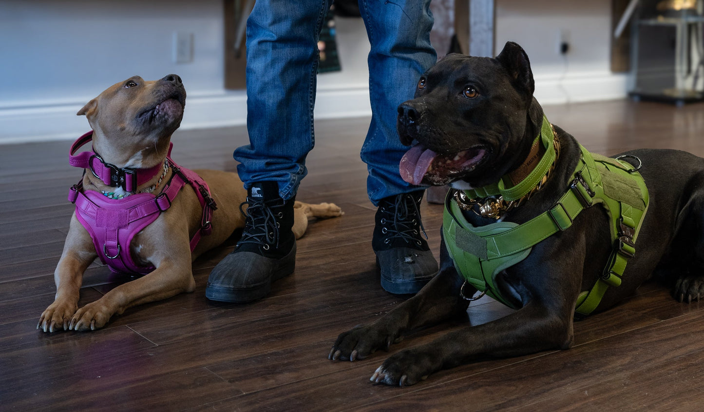 KK9 Tactical Harness - Kaizen K9