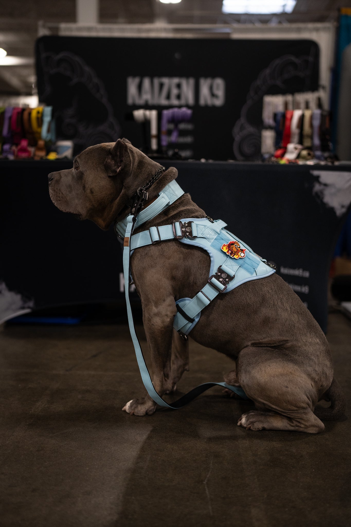 KK9 Tactical Harness - Kaizen K9