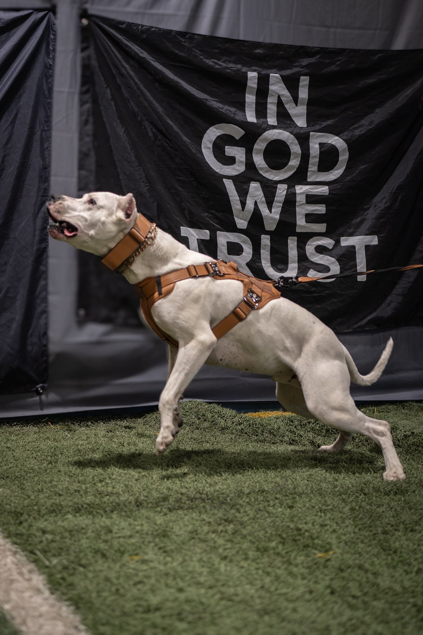 KK9 Tactical Harness - Caramel Brown - Kaizen K9