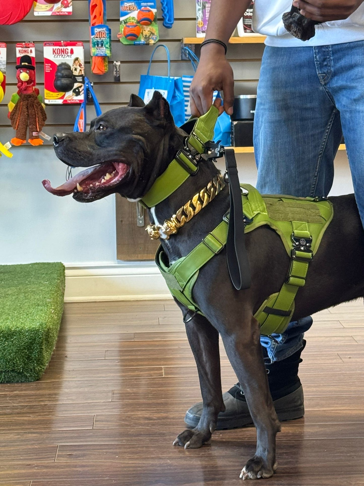 Moss Green - KK9 Tactical Collar V4 (1.5" and 2") - Kaizen K9