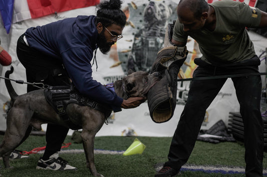 Our Story - Kaizen K9