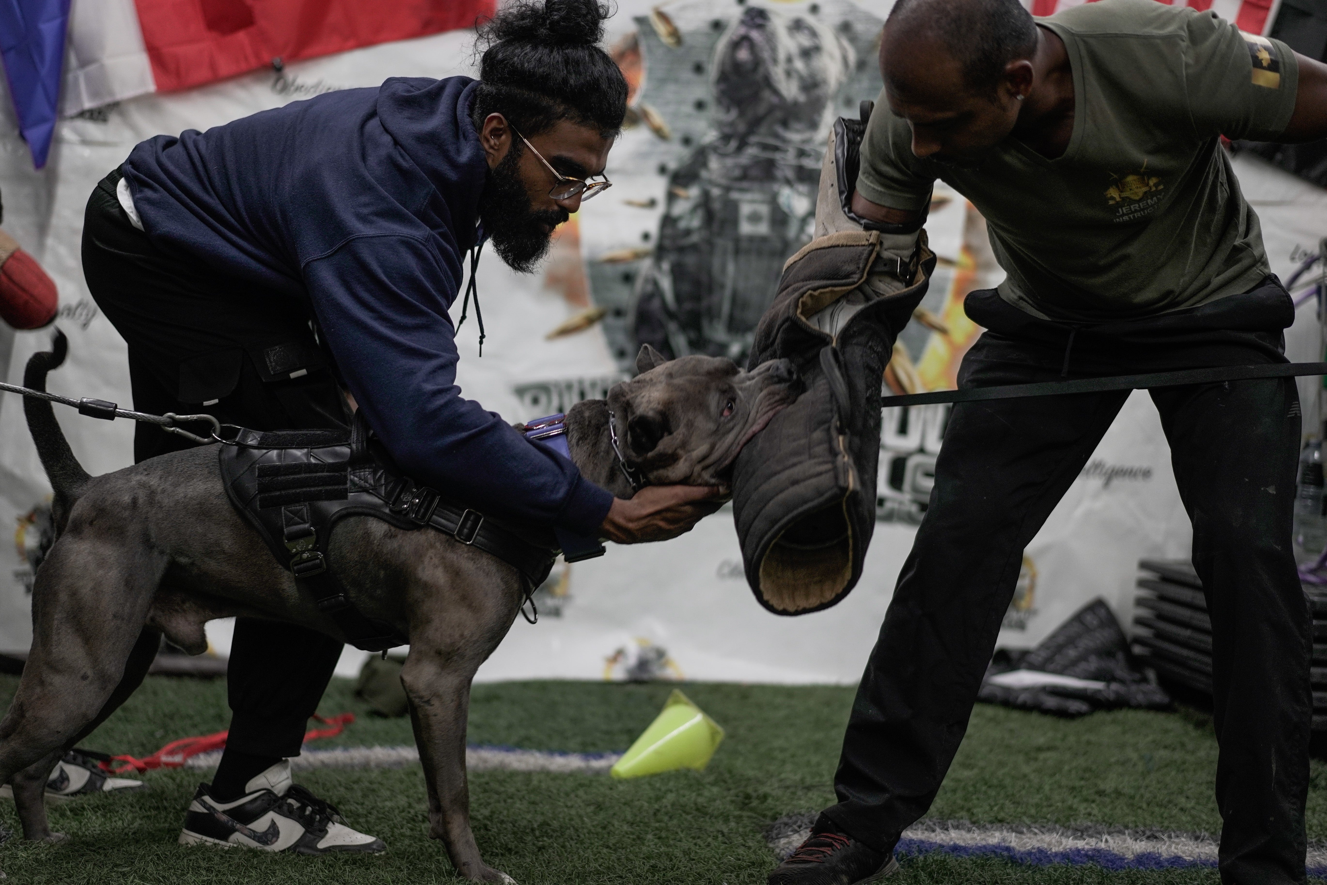 Our Story - Kaizen K9
