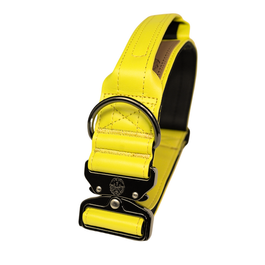 Pollen Yellow - KK9 Tactical Collar V4 (1.5" and 2")