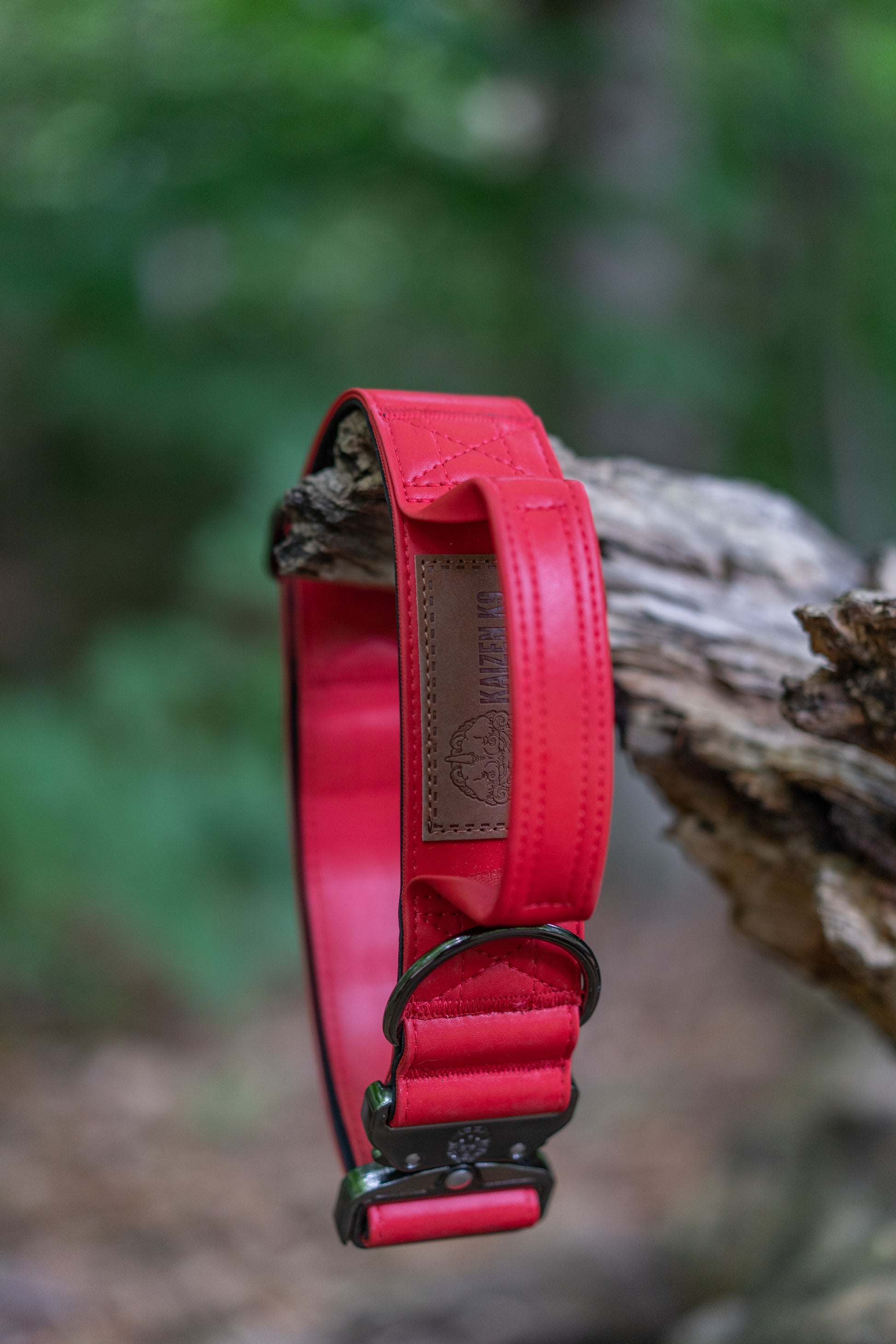 Red Padded Leather Dog Collar