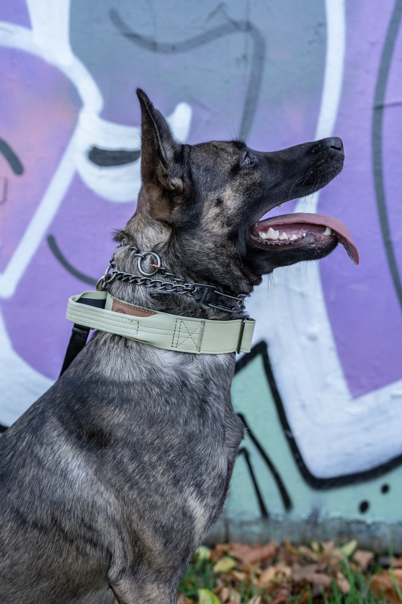 Sage Green - KK9 Tactical Collar V4 (1.5" and 2")