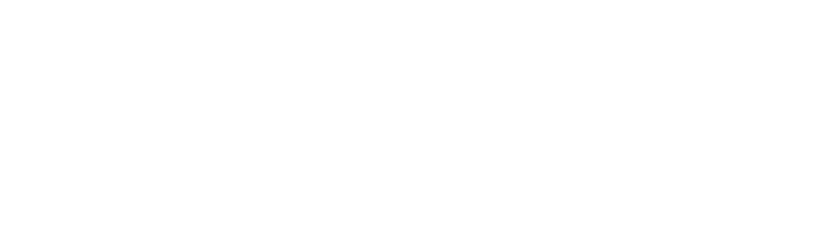 Kaizen K9