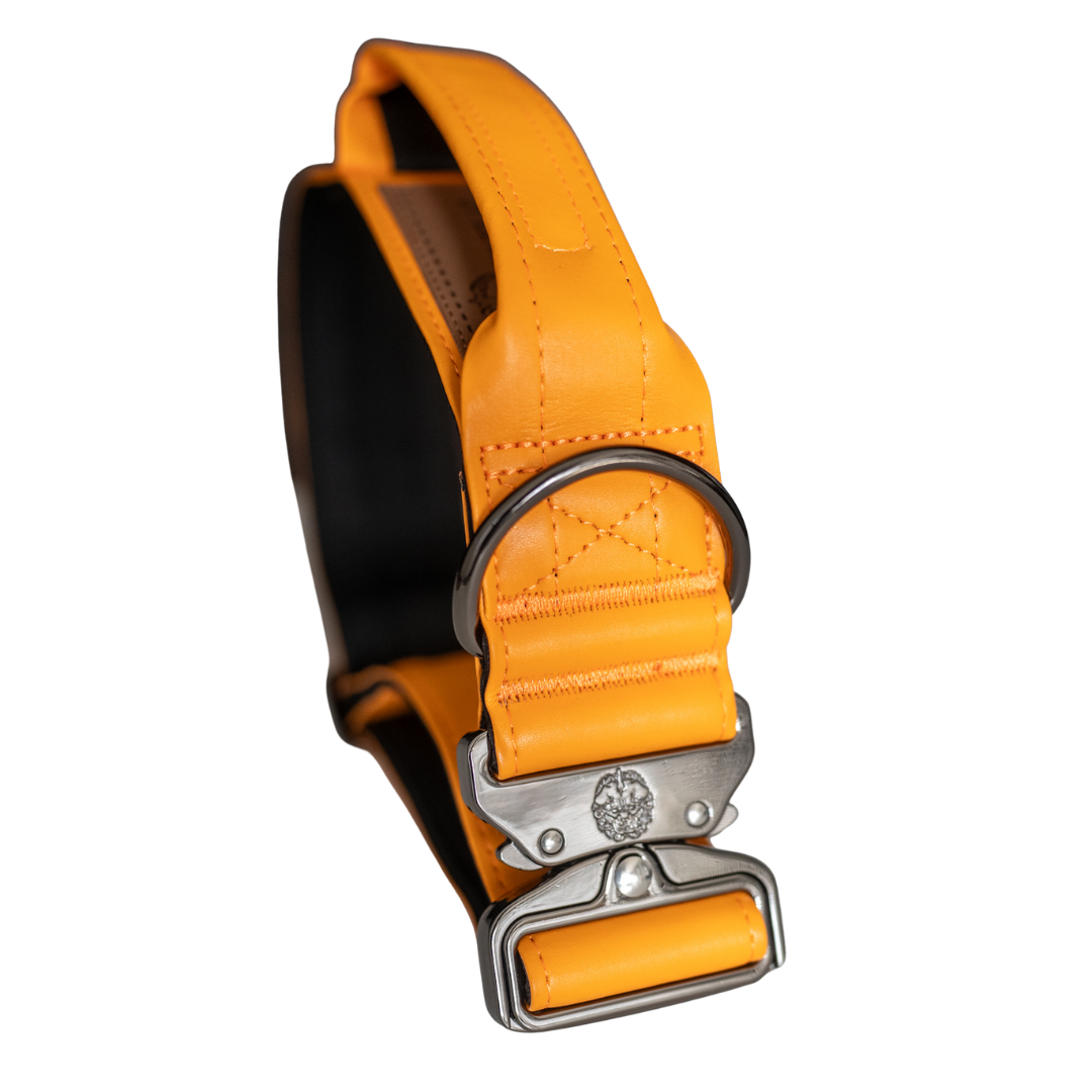 Tangerine Dream - Collier tactique KK9 V4 (1,5" et 2")