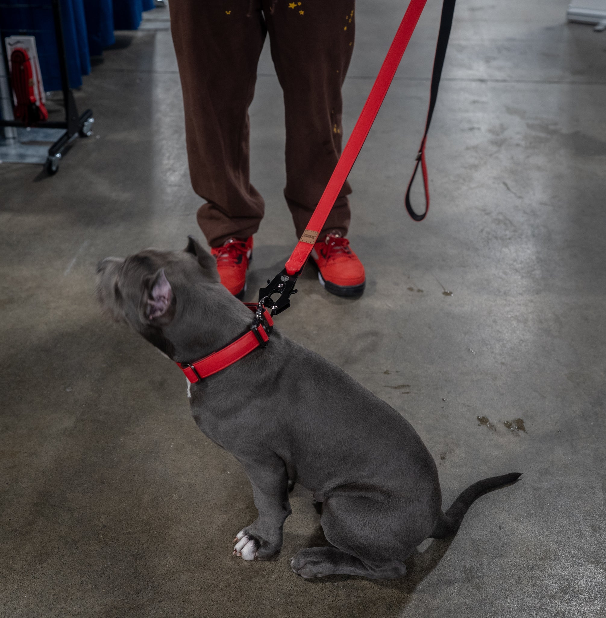Fire Red - KK9 Leather Leash (6 Foot) - Kaizen K9