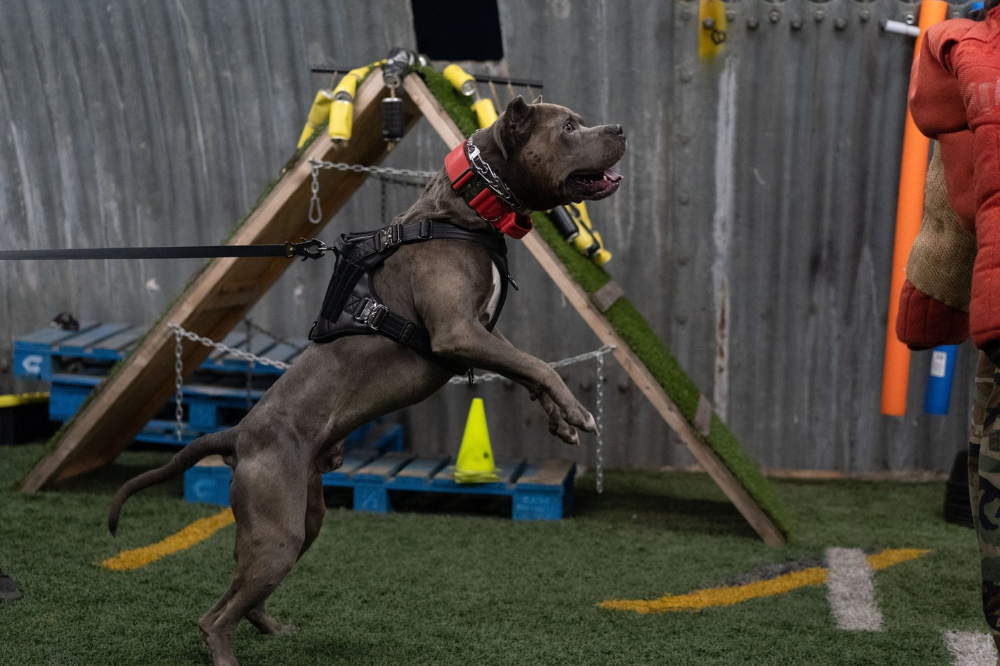 Fire Red - KK9 Tactical Collar V4 (1.5" and 2") - Kaizen K9