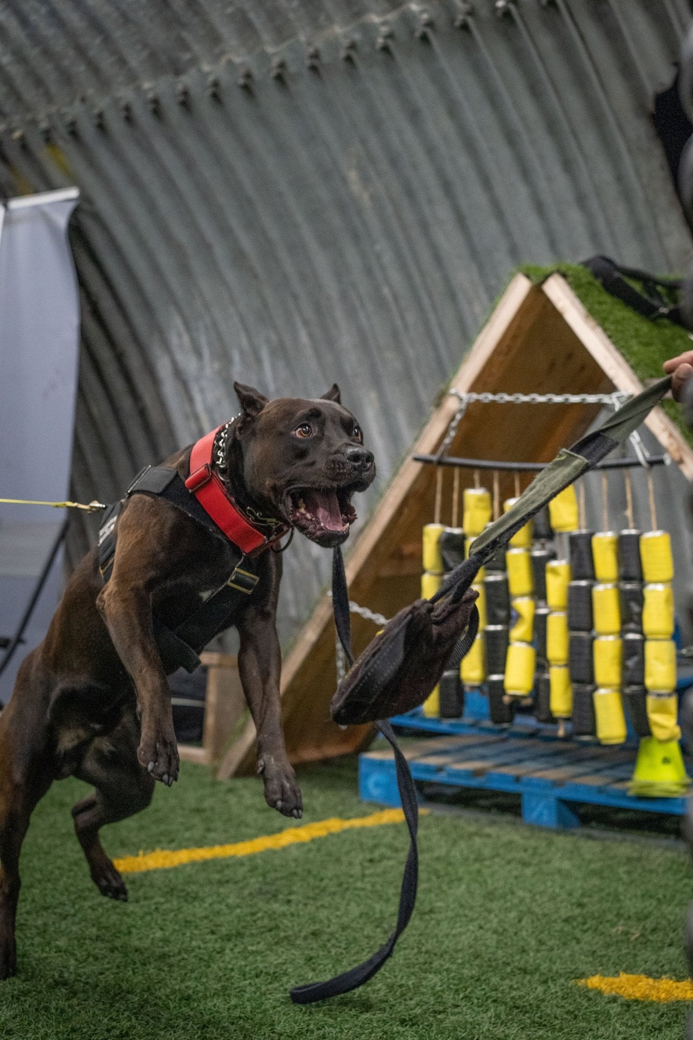 Fire Red - KK9 Tactical Collar V4 (1.5" and 2") - Kaizen K9