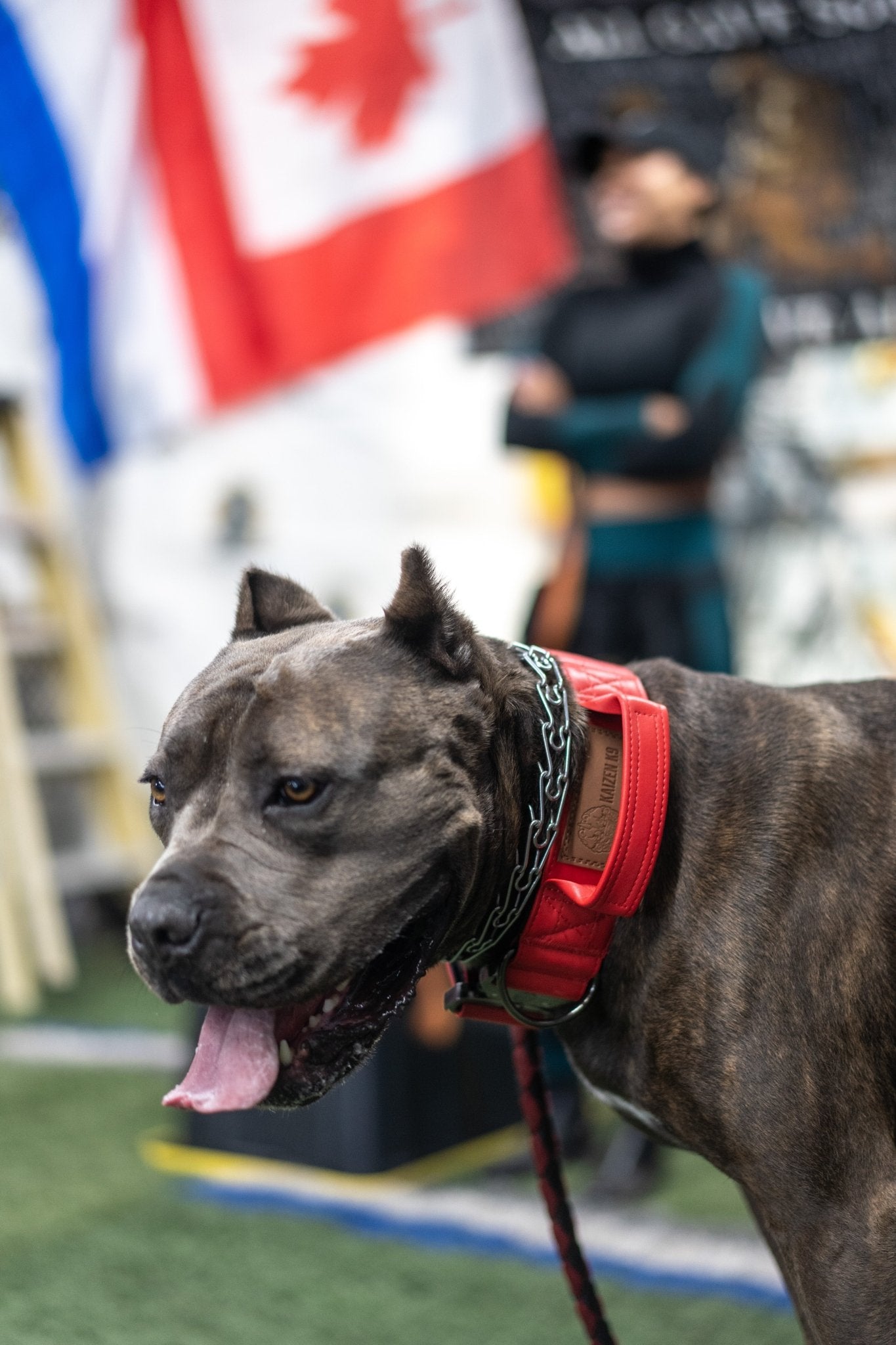 Fire Red - KK9 Tactical Collar V4 (1.5" and 2") - Kaizen K9