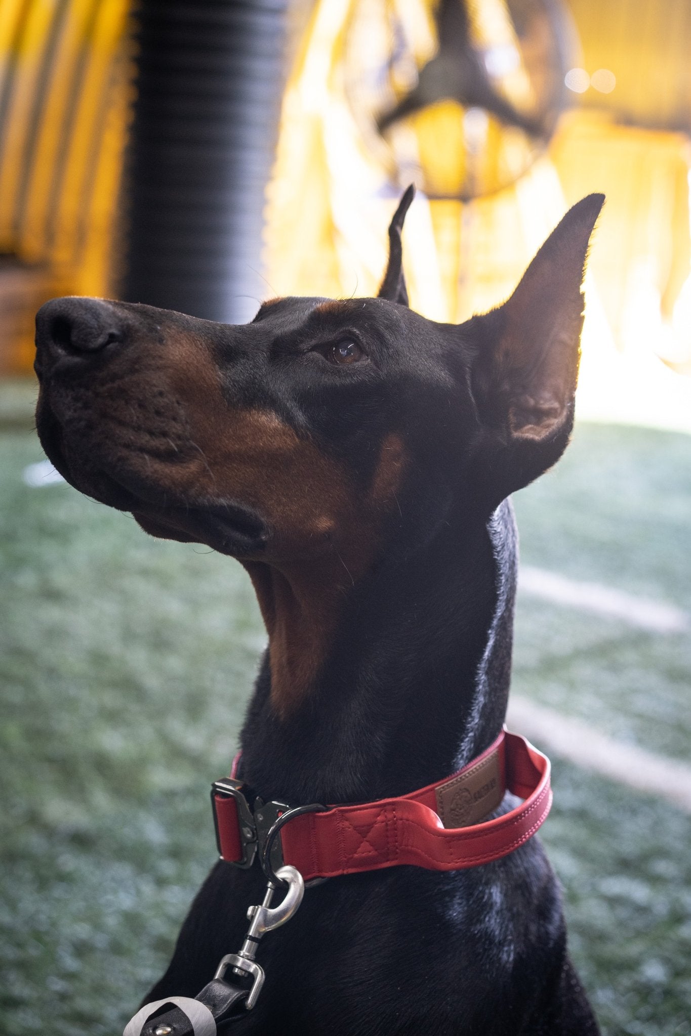 Fire Red KK9 Tactical Collar V4 and 2