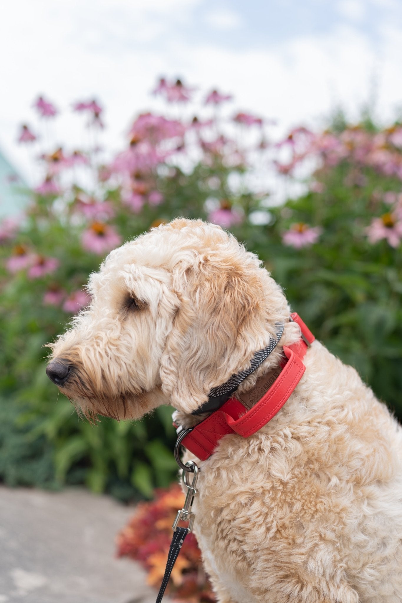 Fire Red - KK9 Tactical Collar V4 (1.5" and 2") - Kaizen K9