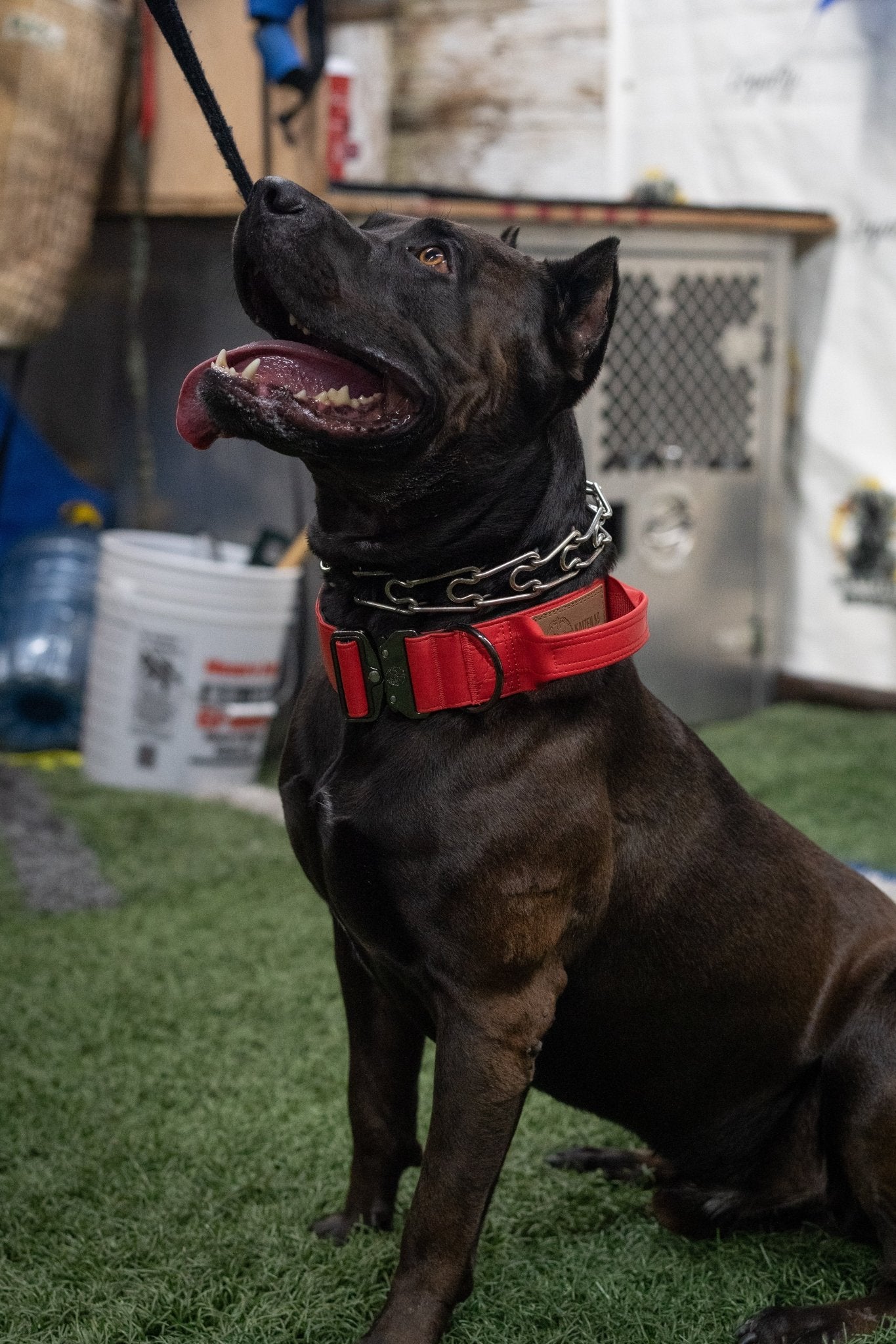 Fire Red - KK9 Tactical Collar V4 (1.5" and 2") - Kaizen K9