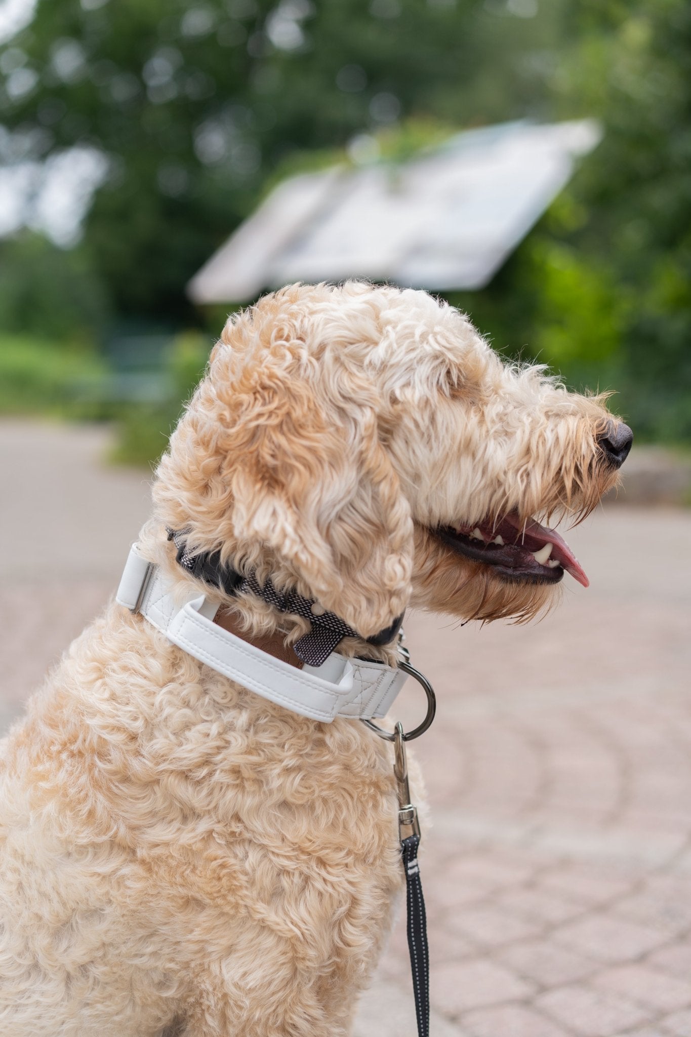 Frost White - KK9 Tactical Collar V4 (1.5" and 2") - Kaizen K9