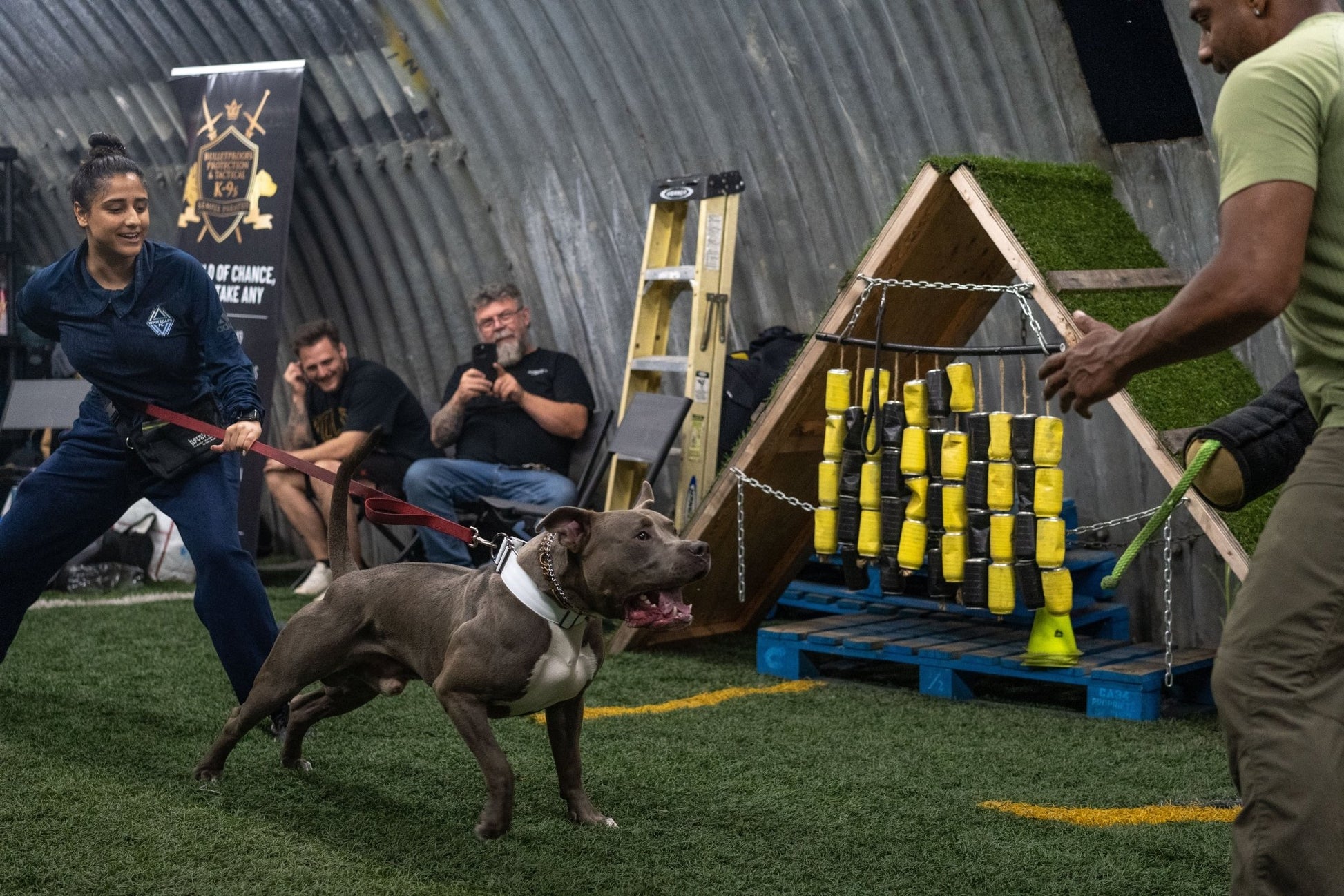 Frost White - KK9 Tactical Collar V4 (1.5" and 2") - Kaizen K9