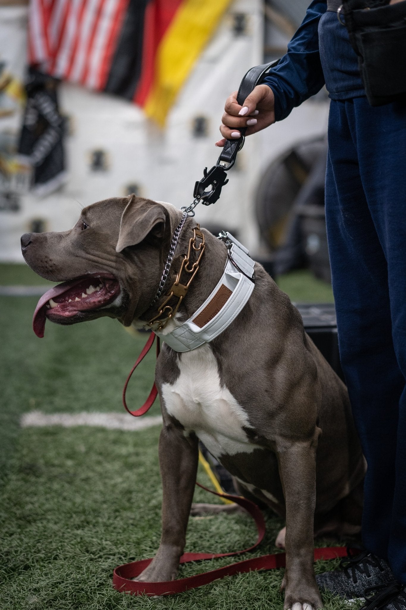 Frost White - KK9 Tactical Collar V4 (1.5" and 2") - Kaizen K9