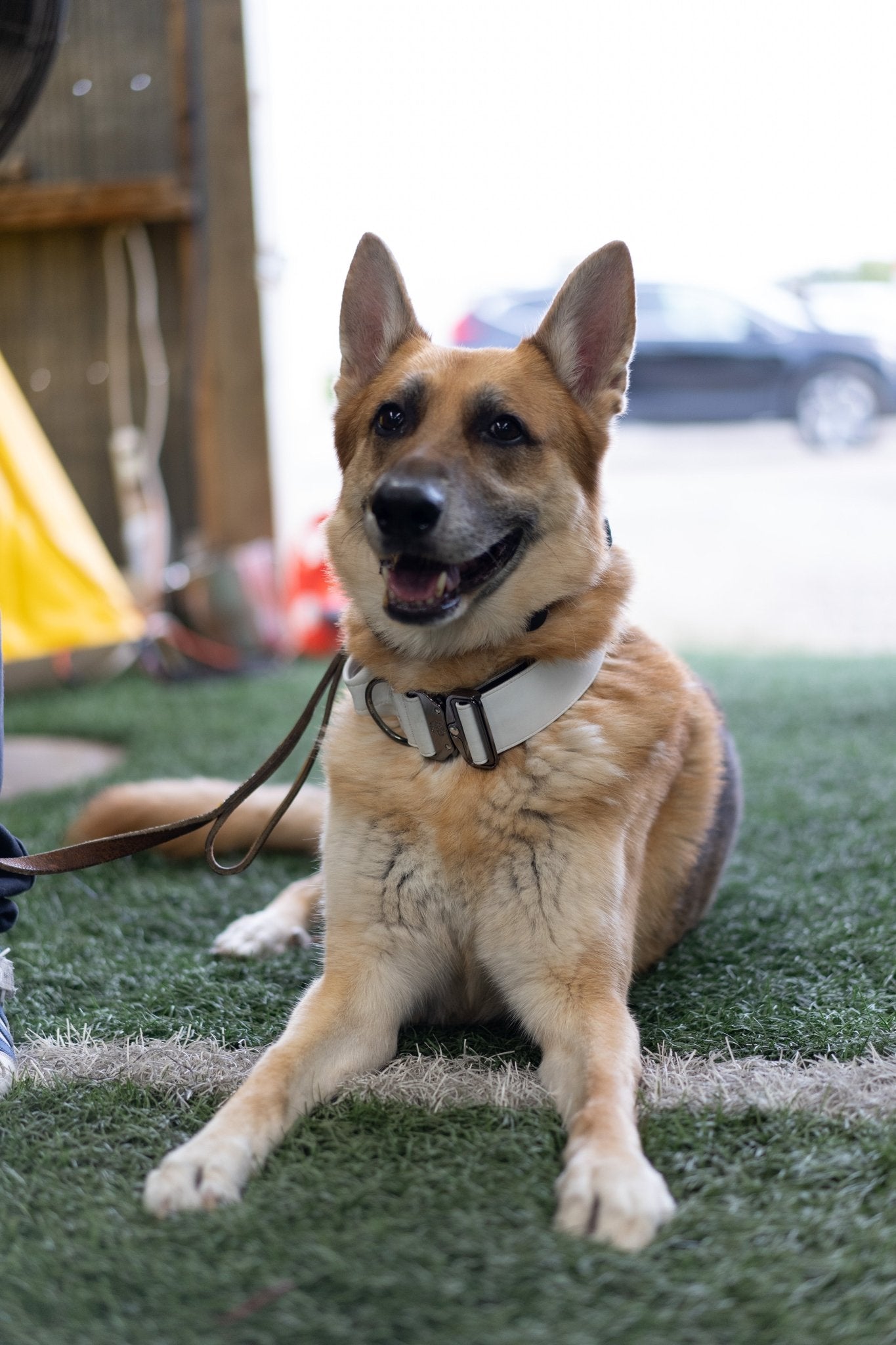 Frost White - KK9 Tactical Collar V4 (1.5" and 2") - Kaizen K9