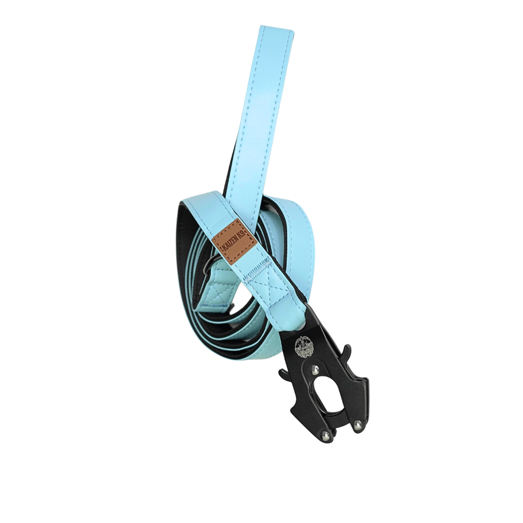 Glacier Blue - KK9 Leather Leash (6 Foot) - Kaizen K9