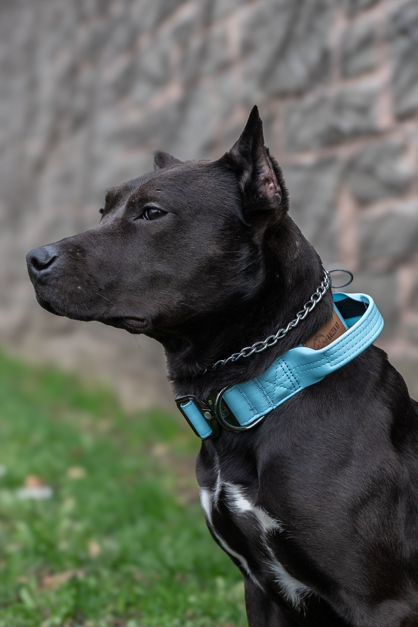 Glacier Blue - KK9 Tactical Collar V4 (1.5" and 2") - Kaizen K9