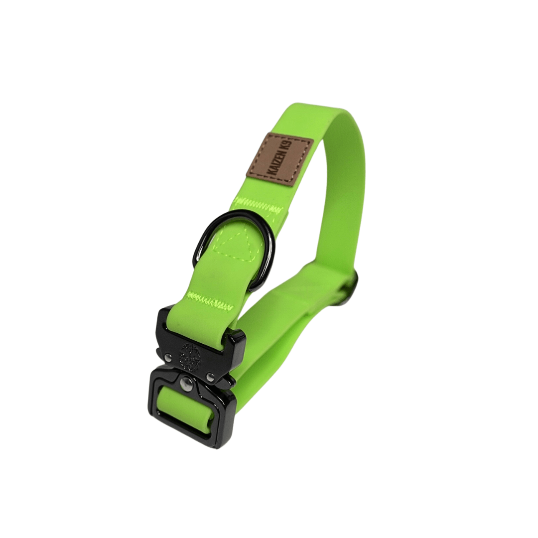 KK9 Elemental Collar (1") - Kaizen K9