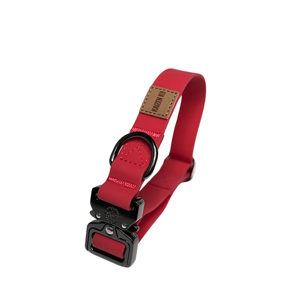 KK9 Elemental Collar (1") - Kaizen K9