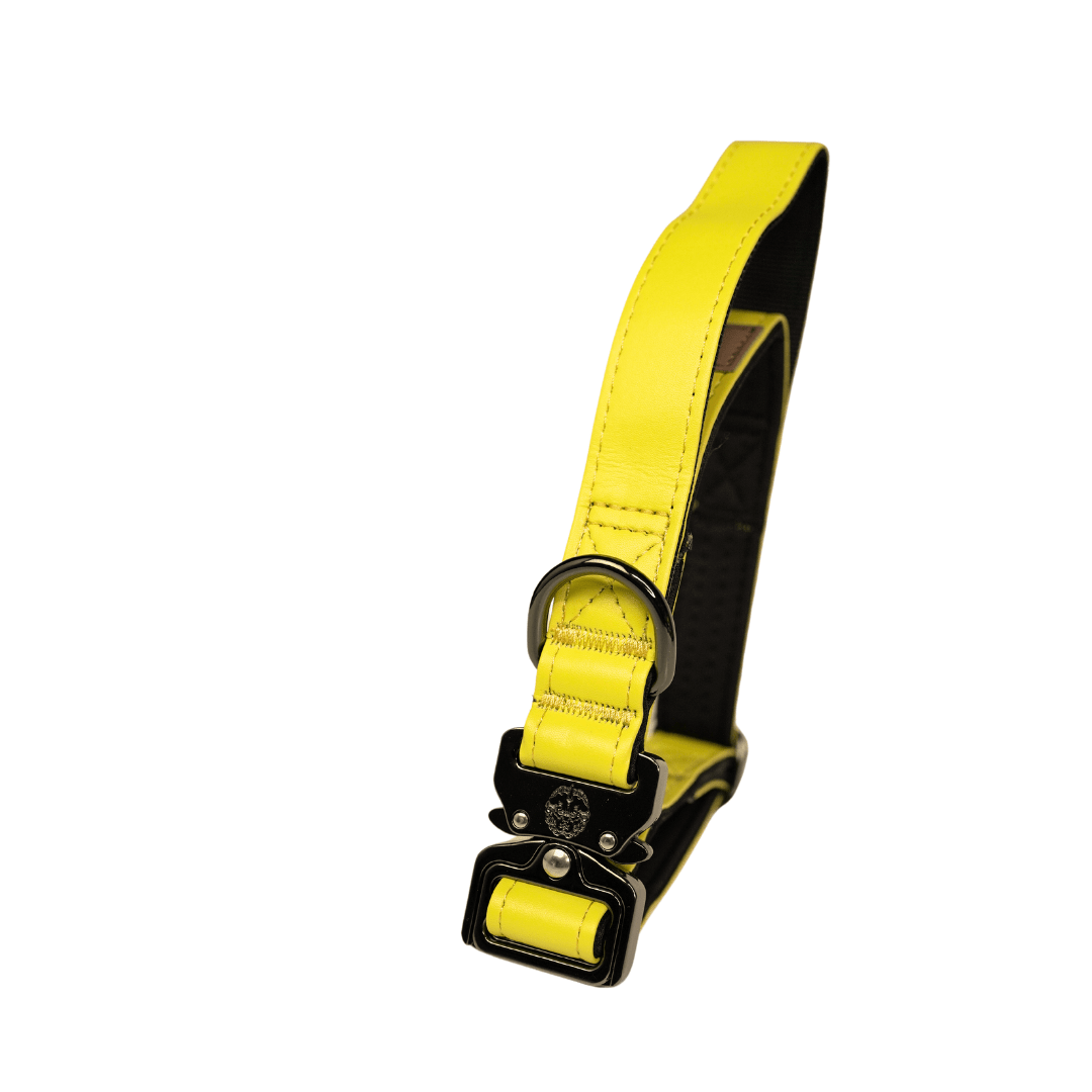 KK9 Tactical Collar (1") - Kaizen K9