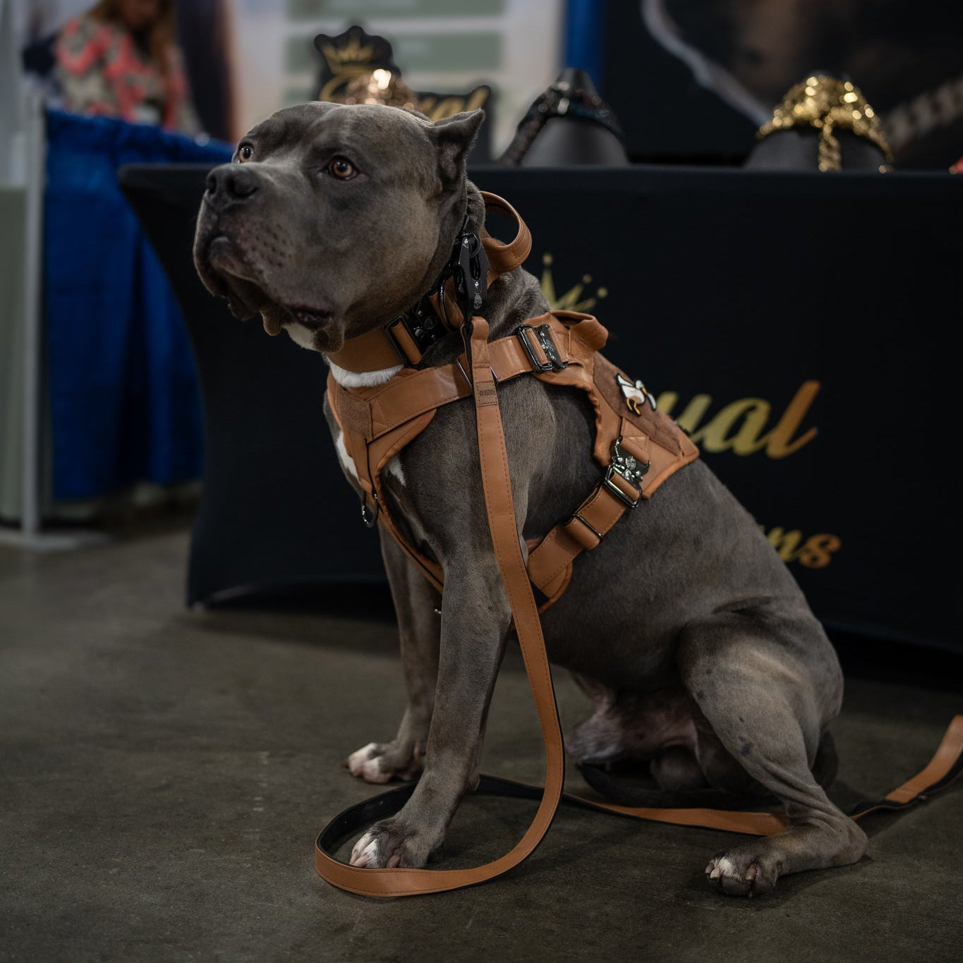 KK9 Tactical Harness - Kaizen K9