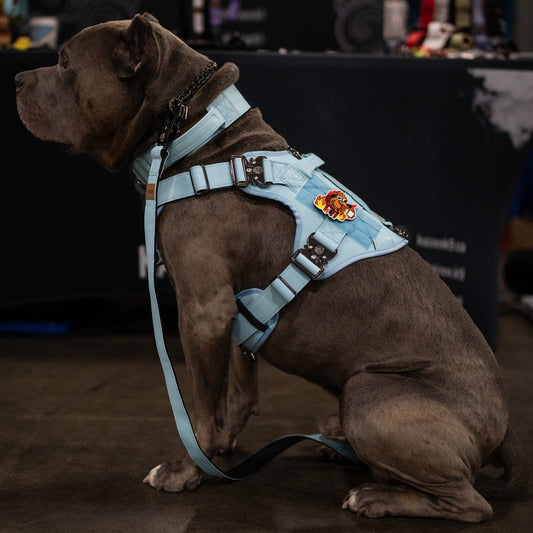 KK9 Tactical Harness - Kaizen K9