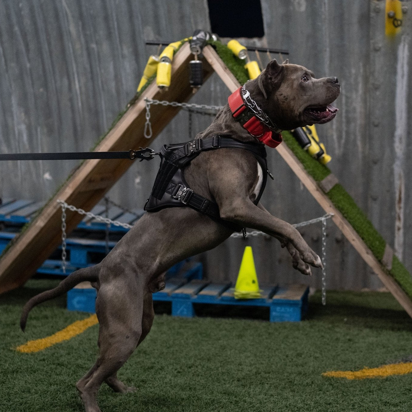 KK9 Tactical Harness - Kaizen K9