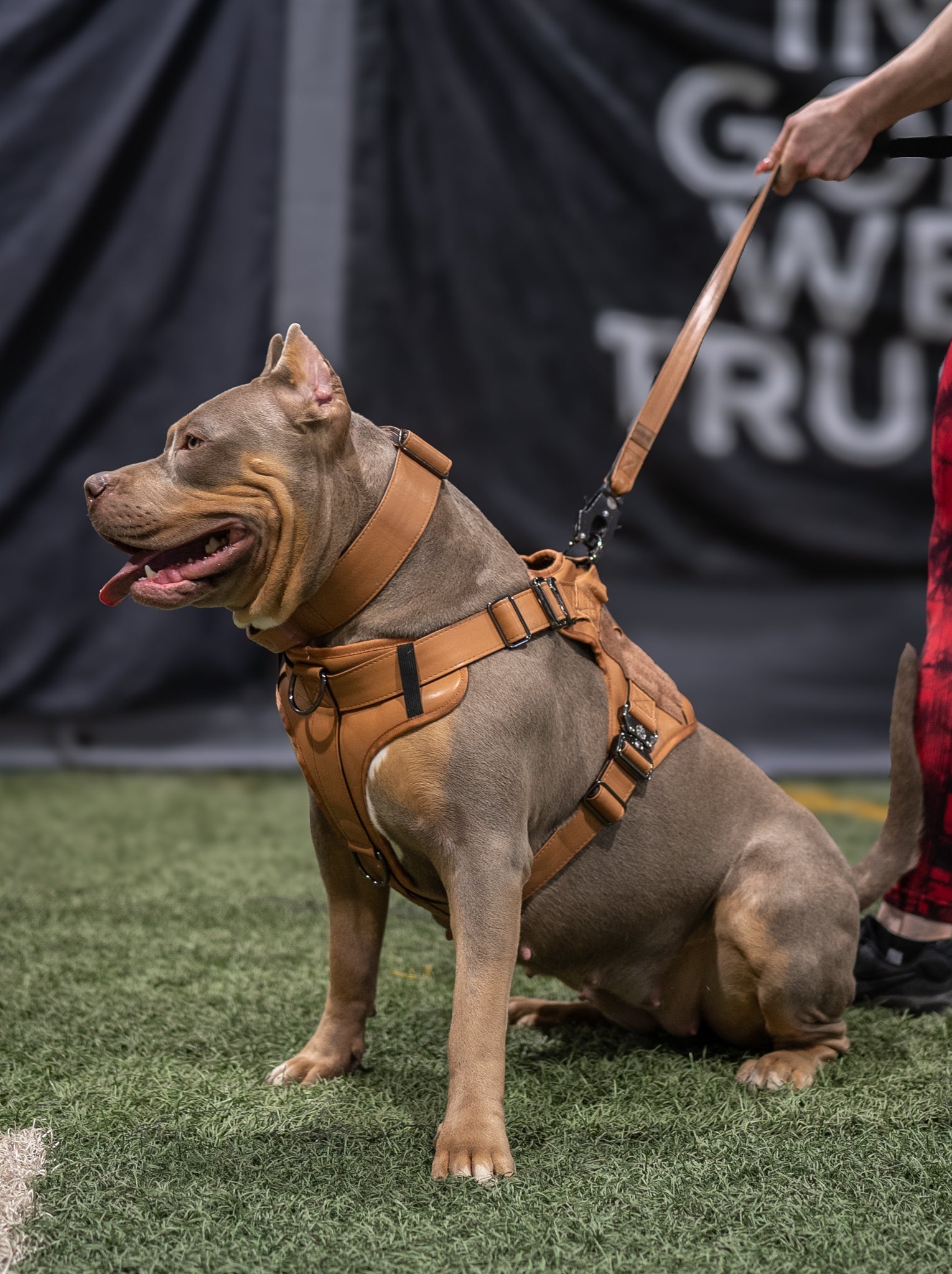 KK9 Tactical Harness - Caramel Brown - Kaizen K9