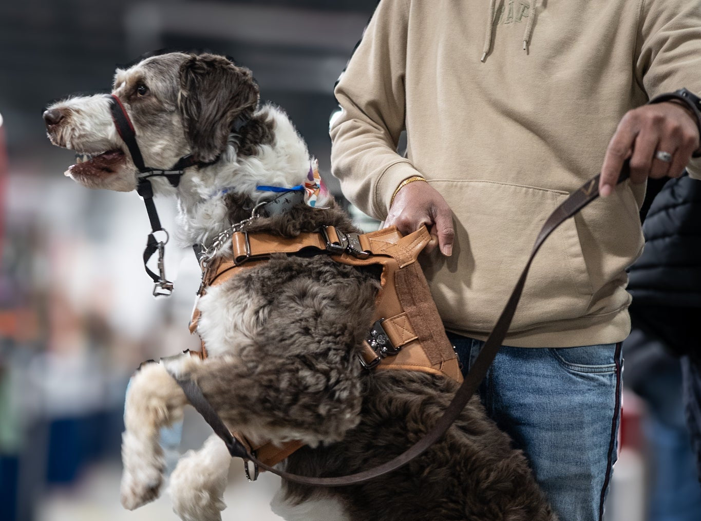 KK9 Tactical Harness - Caramel Brown - Kaizen K9