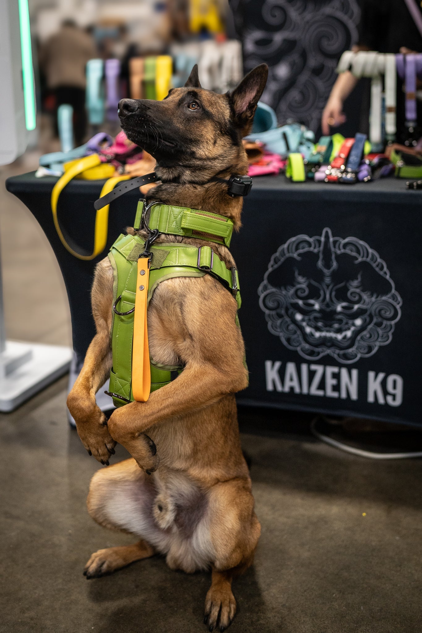 KK9 Tactical Harness - Moss Green - Kaizen K9