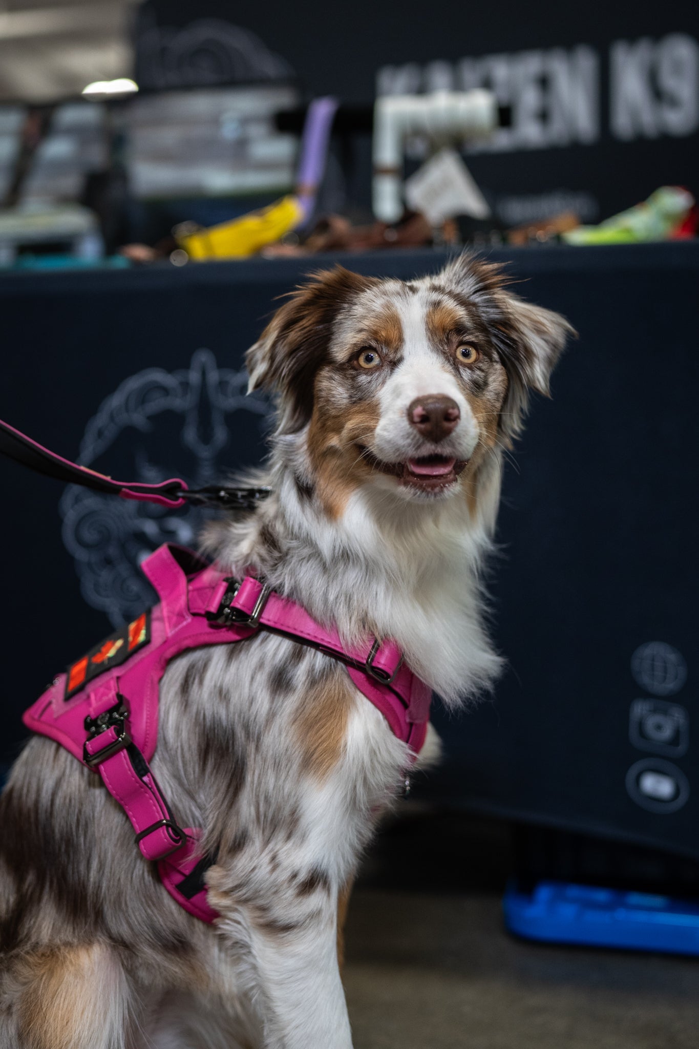 KK9 Tactical Harness - Princess Pink - Kaizen K9