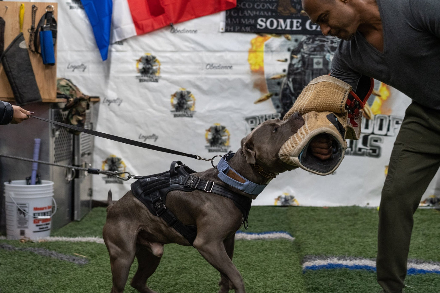 Lavender - KK9 Tactical Collar V4 (1.5" and 2") - Kaizen K9