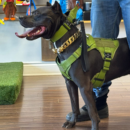 Moss Green - KK9 Tactical Collar V4 (1.5" and 2") - Kaizen K9