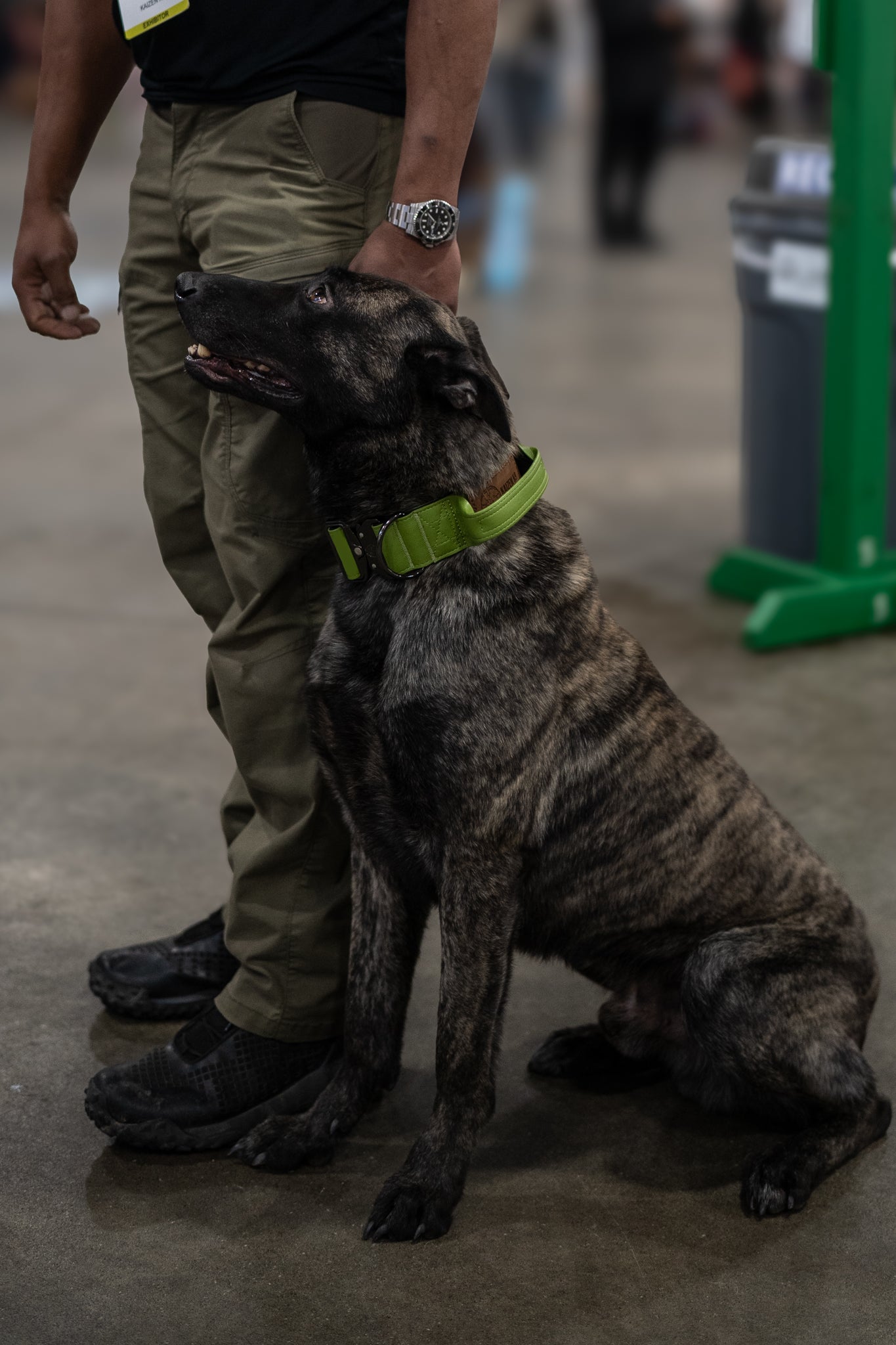 Moss Green - KK9 Tactical Collar V4 (1.5" and 2") - Kaizen K9