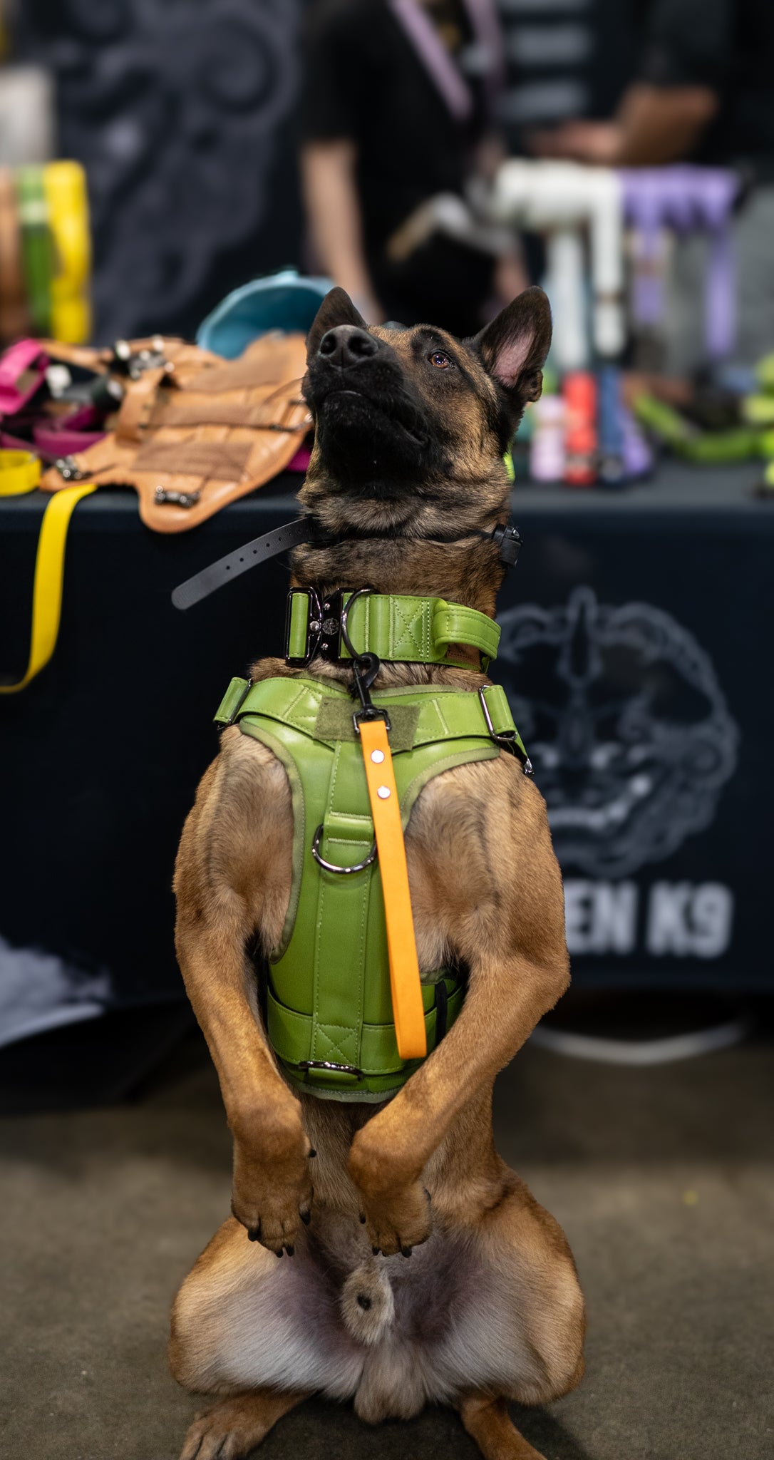 Moss Green - KK9 Tactical Collar V4 (1.5" and 2") - Kaizen K9