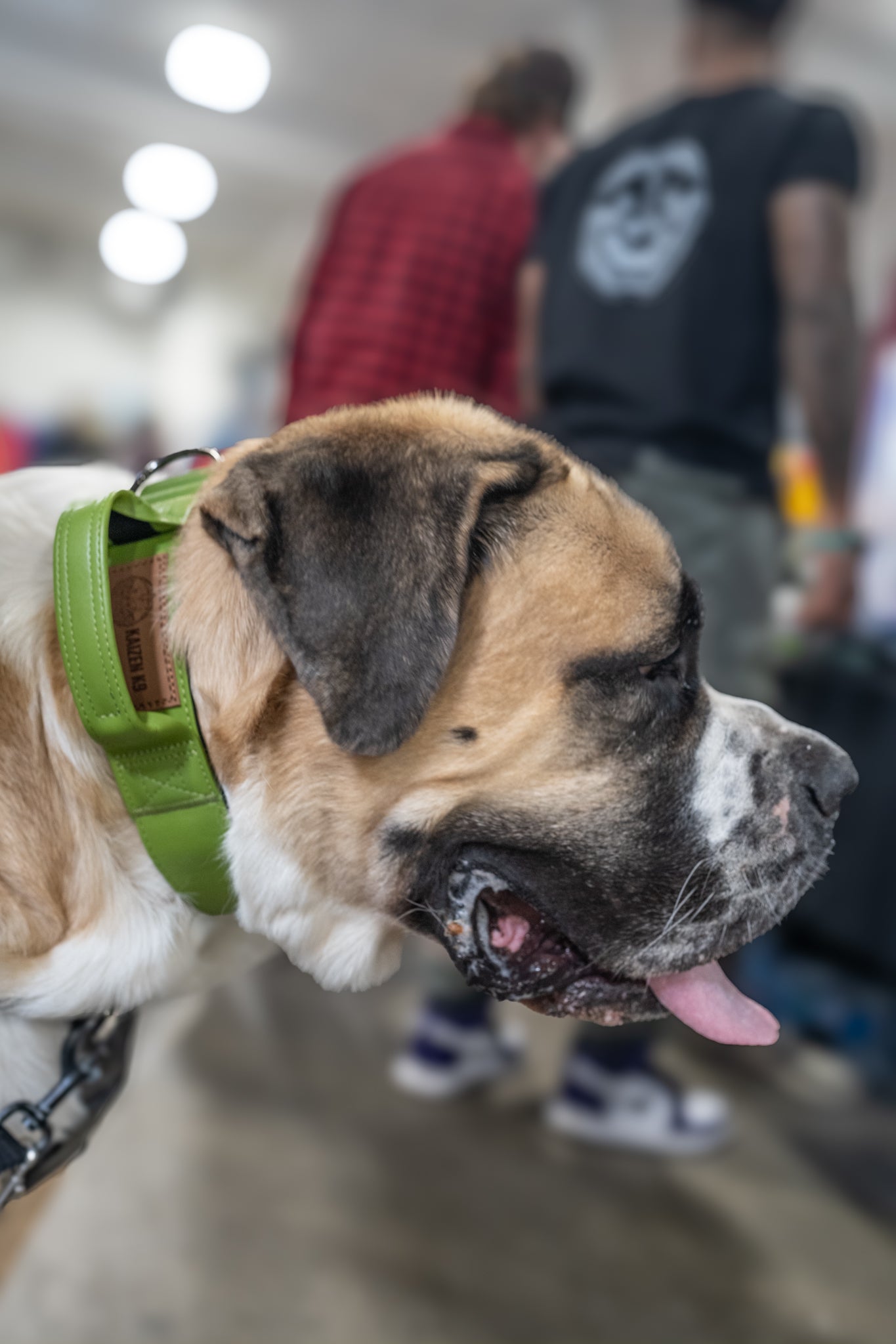 Moss Green - KK9 Tactical Collar V4 (1.5" and 2") - Kaizen K9