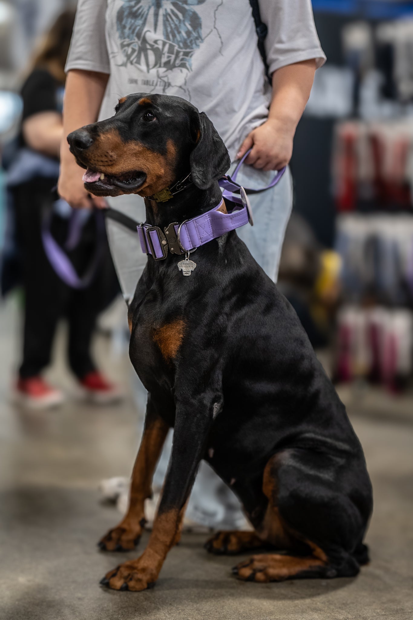 Mystic Purple - KK9 Tactical Collar V4 (1.5" and 2") - Kaizen K9