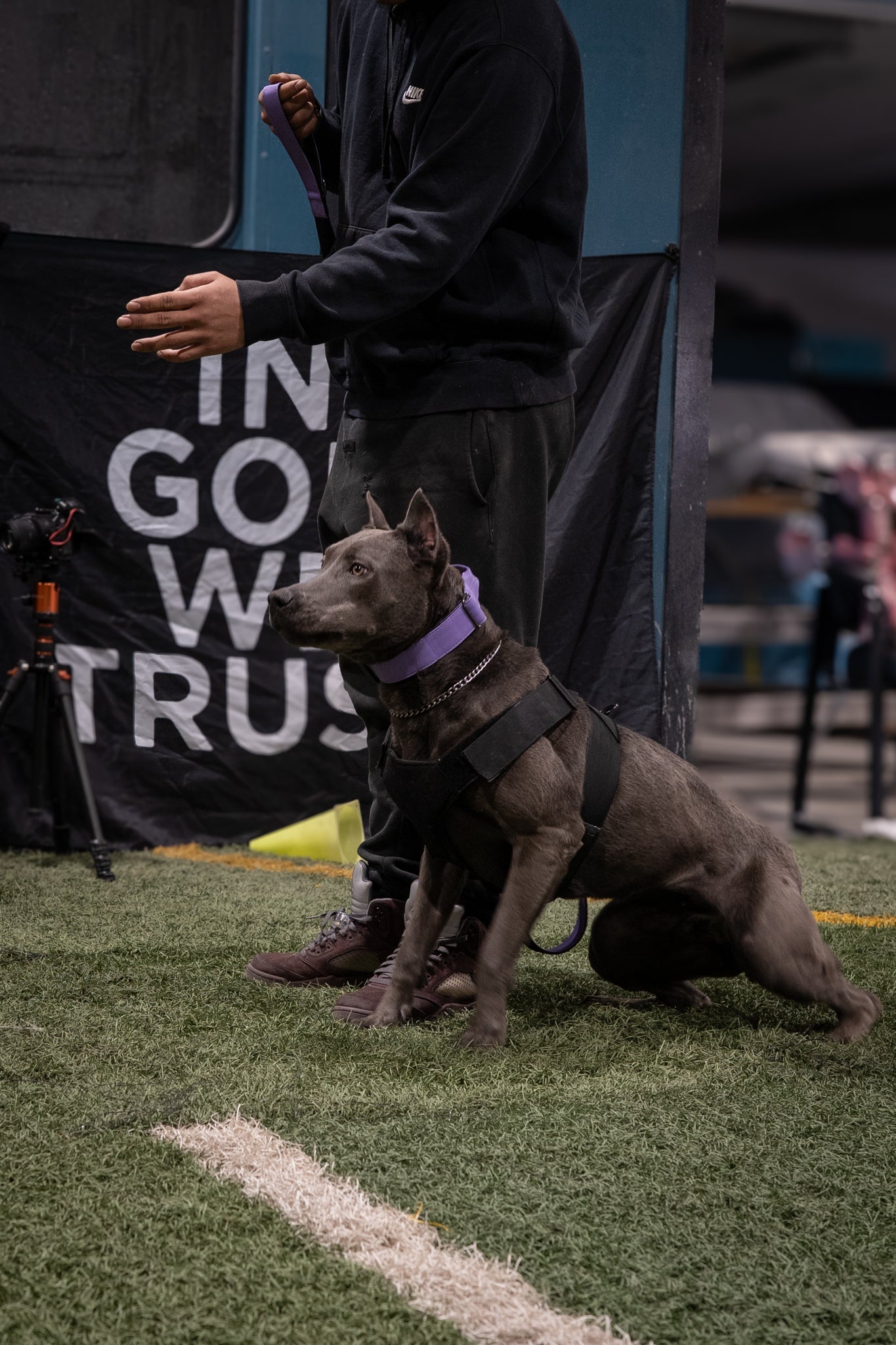 Mystic Purple - KK9 Tactical Collar V4 (1.5" and 2") - Kaizen K9