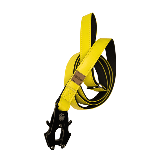 Pollen Yellow - KK9 Leather Leash (6 Foot) - Kaizen K9
