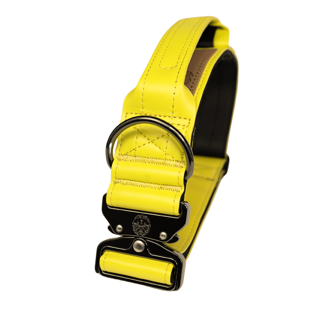 Pollen Yellow - KK9 Tactical Collar V4 (1.5" and 2") - Kaizen K9