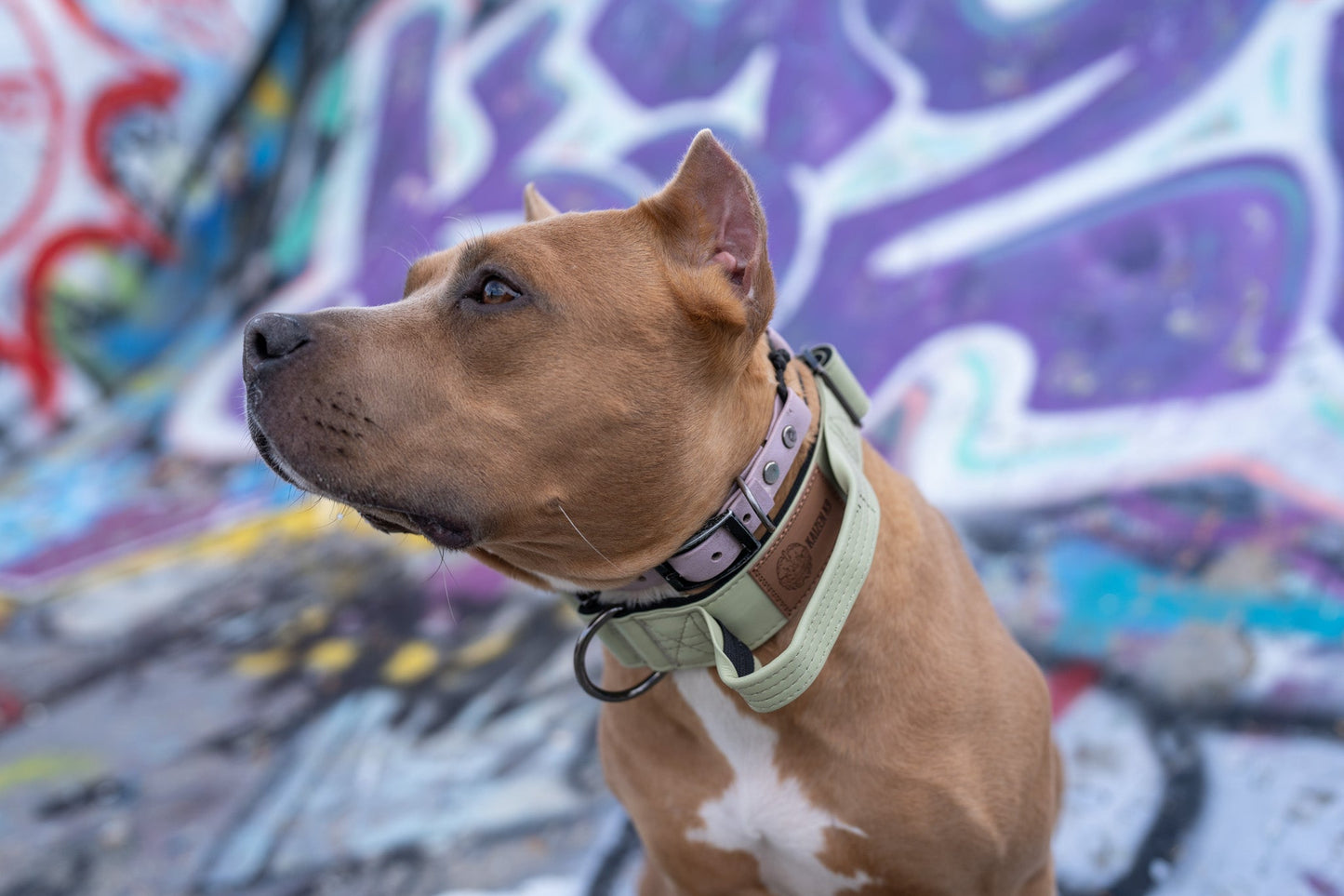 Sage Green - KK9 Tactical Collar V4 (1.5" and 2") - Kaizen K9