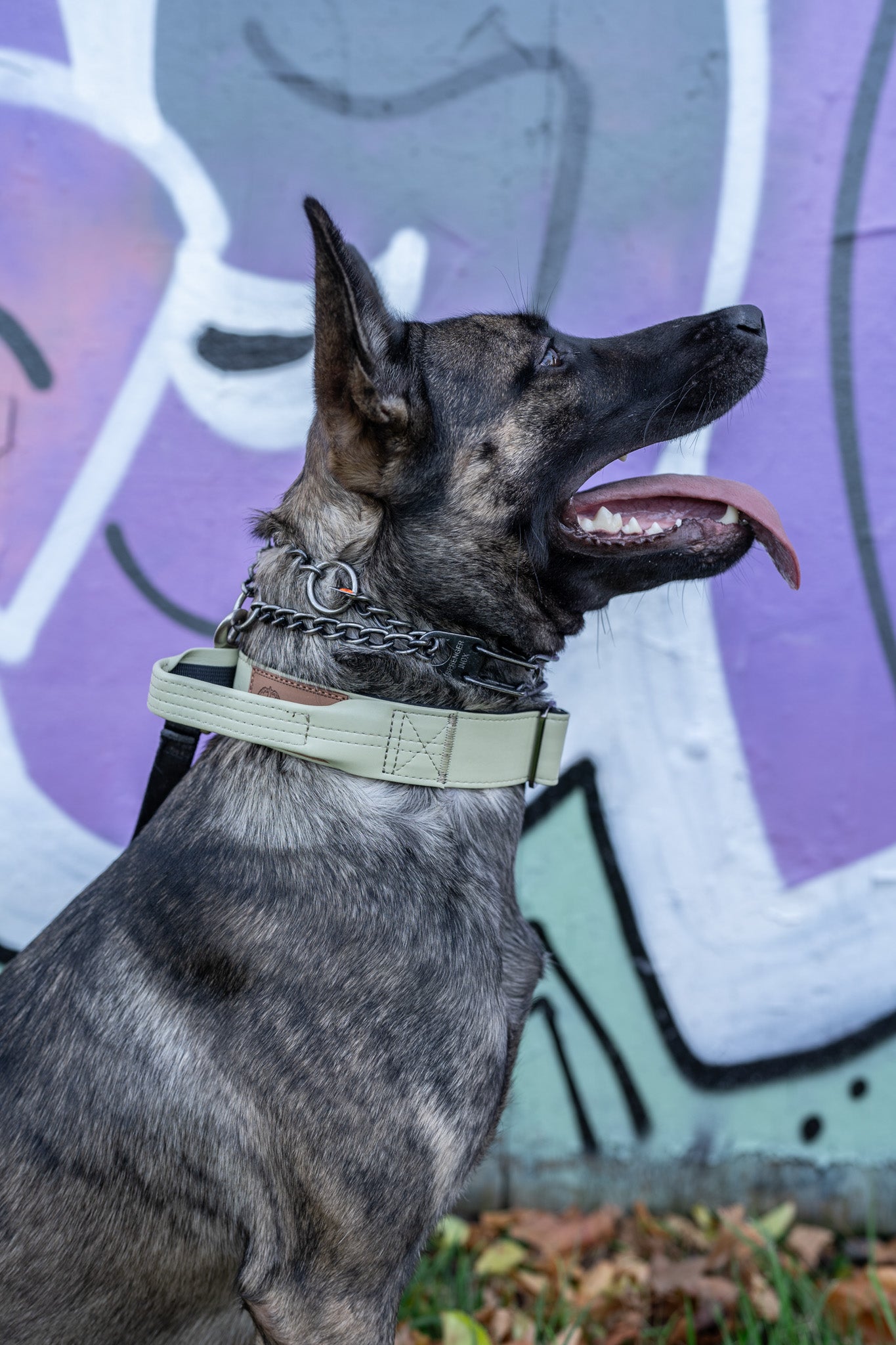 Sage Green - KK9 Tactical Collar V4 (1.5" and 2") - Kaizen K9