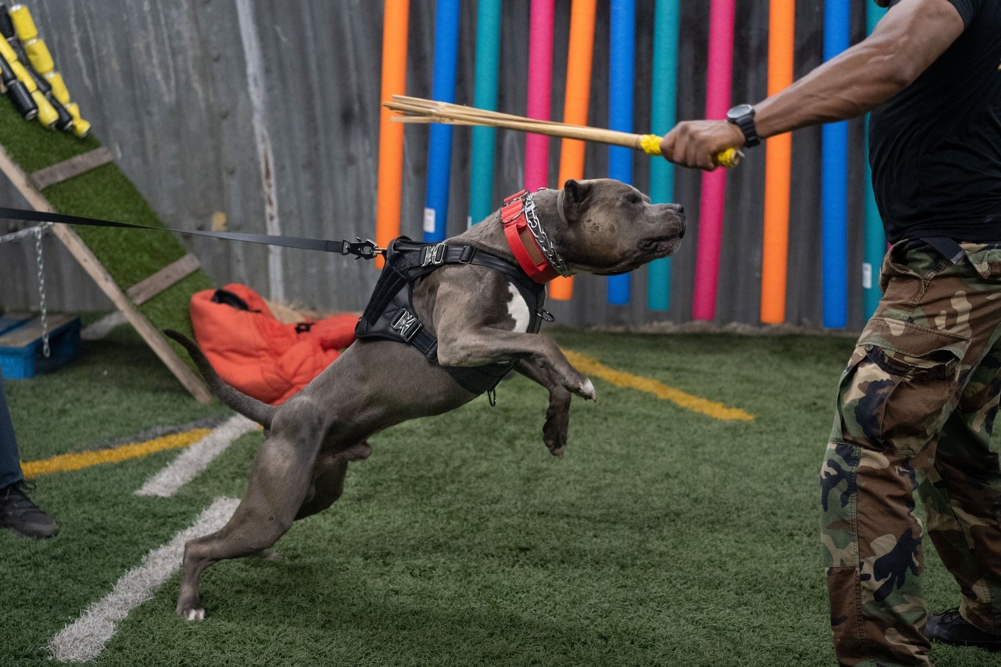 Stealth - KK9 Elemental Leash (6 Foot) - Kaizen K9