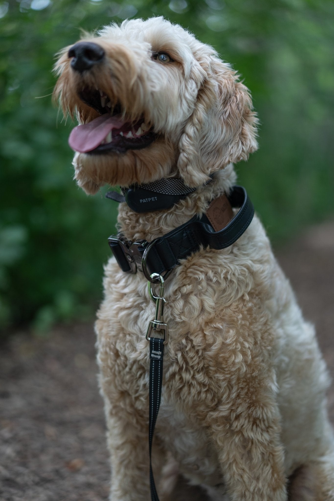 Stealth - KK9 Tactical Collar V4 (1.5" and 2") - Kaizen K9